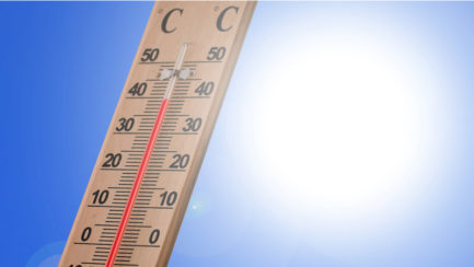 Déclenchement du plan canicule