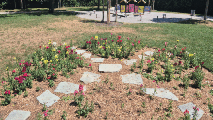 De nouveaux potagers en libre cueillette